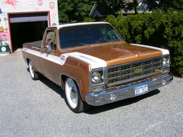 Chevrolet C-10 1979 image number 28