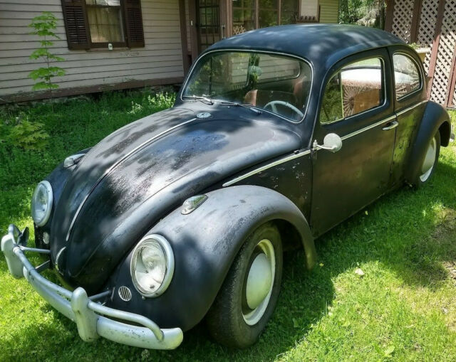 Volkswagen Beetle - Classic 1964 image number 12
