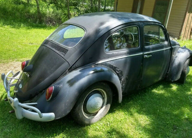 Volkswagen Beetle - Classic 1964 image number 22