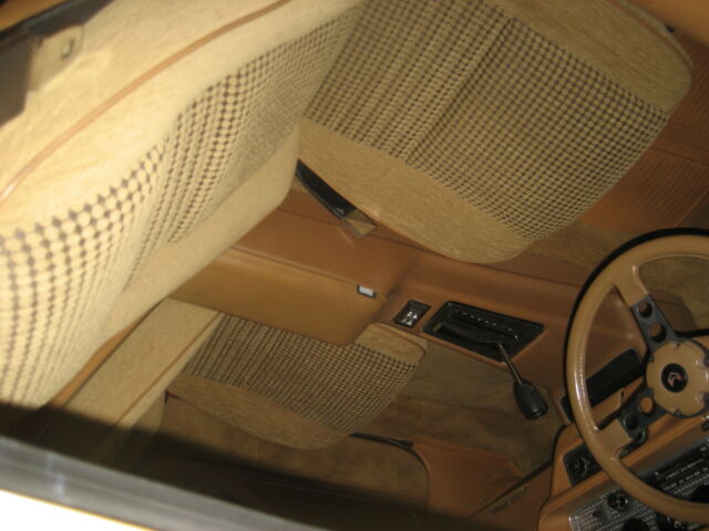 Pontiac Trans Am 1979 image number 28