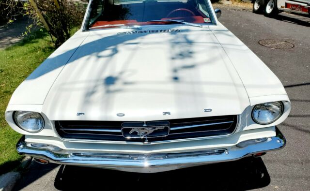 Ford Mustang 1965 image number 12