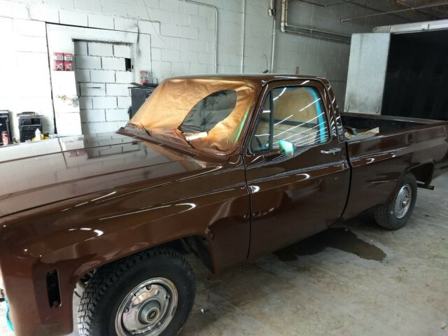 Chevrolet C-10 1977 image number 11