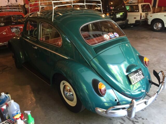 Volkswagen Beetle - Classic 1964 image number 22