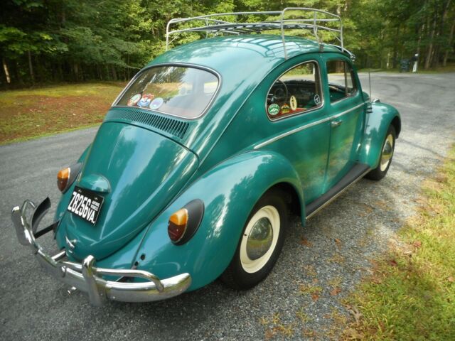 Volkswagen Beetle - Classic 1964 image number 31