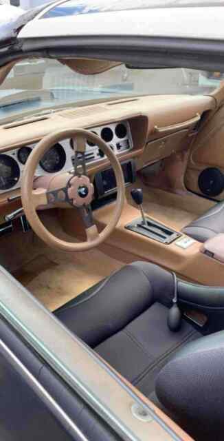Pontiac Firebird Trans Am 1979 image number 10