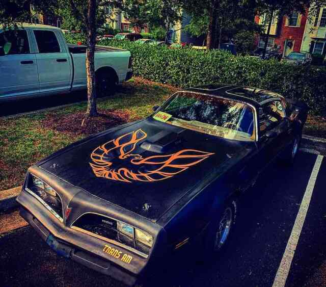 Pontiac Firebird Trans Am 1979 image number 6