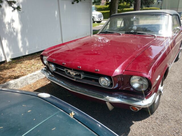 Ford Mustang 1965 image number 19