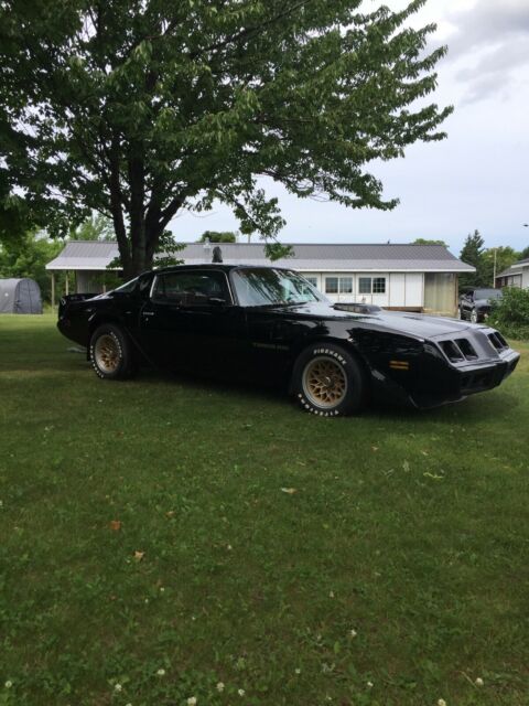 Pontiac Trans Am 1979 image number 13