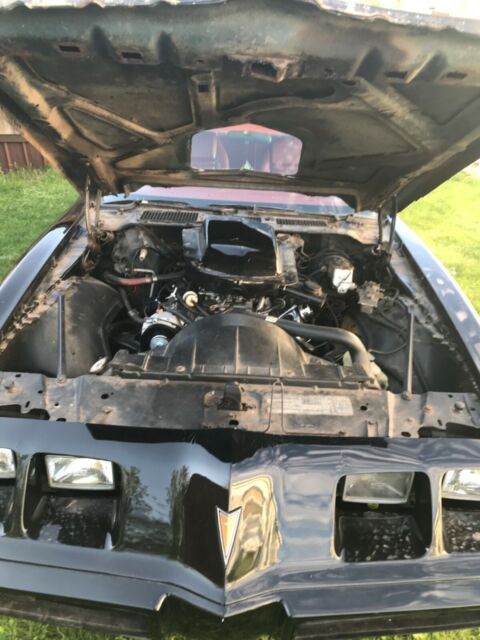 Pontiac Trans Am 1979 image number 2