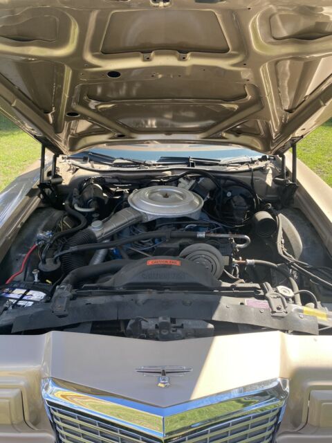 Ford Thunderbird 1977 image number 15