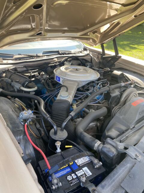 Ford Thunderbird 1977 image number 16