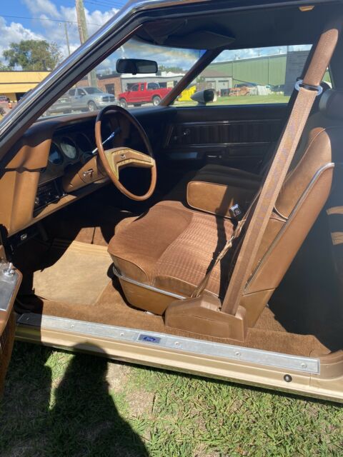 Ford Thunderbird 1977 image number 31