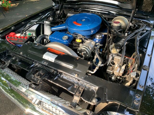 Ford Thunderbird 1966 image number 14