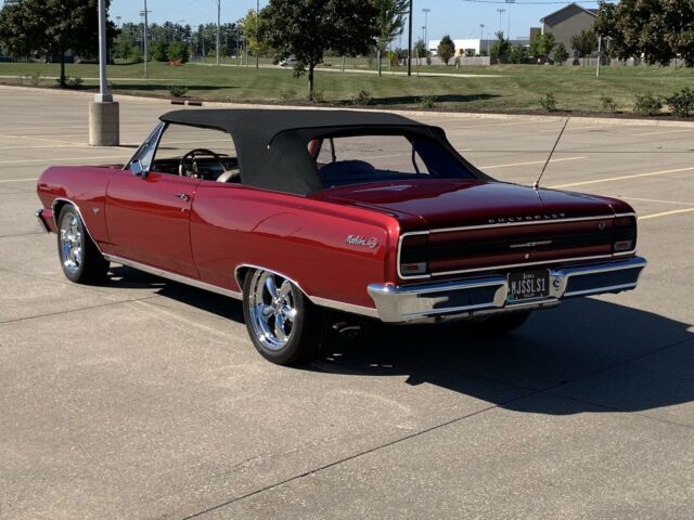 Chevrolet Chevelle Malibu Convertible 1964 image number 6