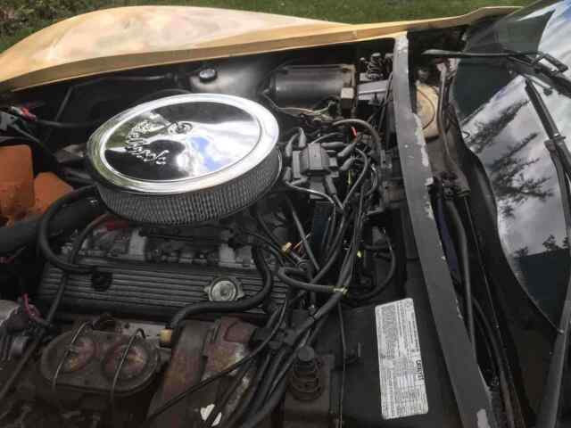 Chevrolet Corvette C3 1977 image number 29