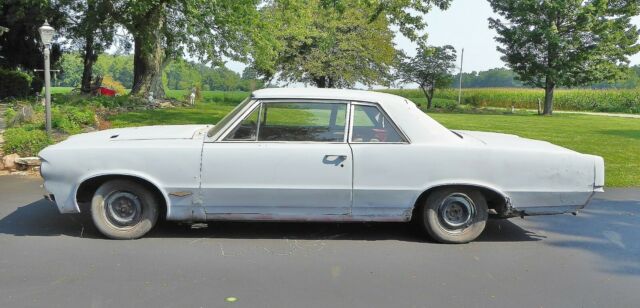 Pontiac GTO 1964 image number 0