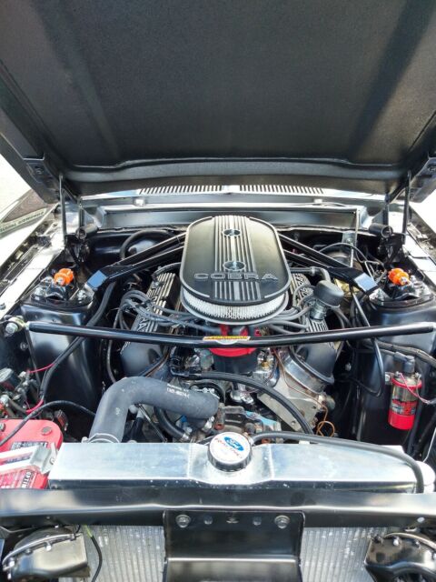 Ford Shelby GT 350 Tribute 1967 image number 15