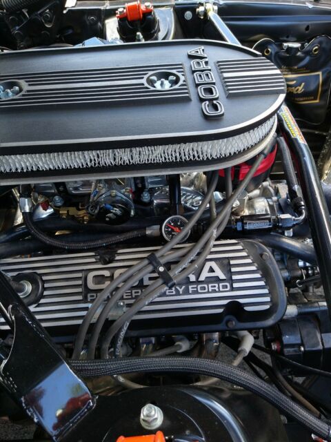 Ford Shelby GT 350 Tribute 1967 image number 40