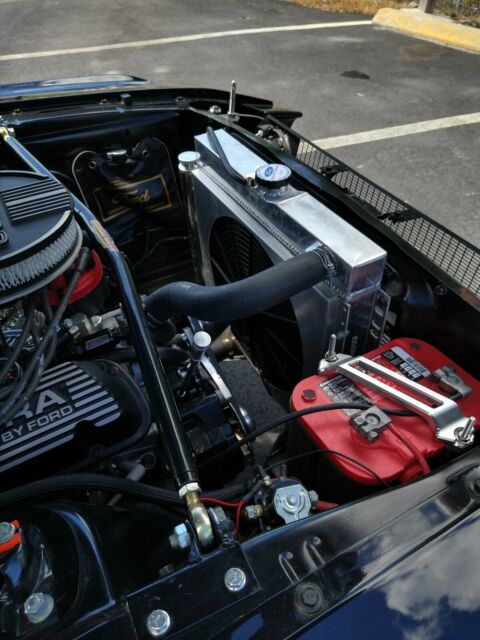 Ford Shelby GT 350 Tribute 1967 image number 41
