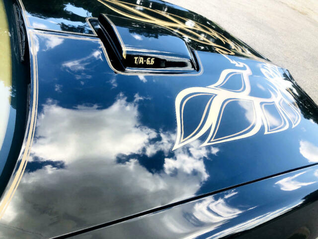 Pontiac Trans Am 1978 image number 45