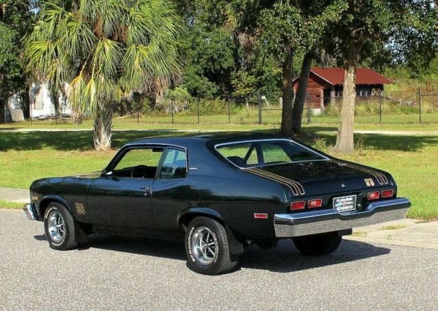 Chevrolet Nova 1974 image number 15