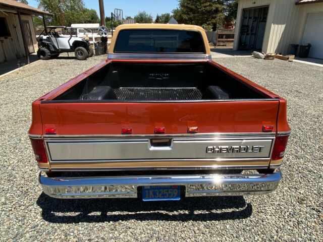 Chevrolet C-10 1978 image number 45