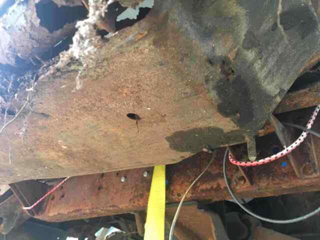 Chevrolet Blazer 1972 image number 46