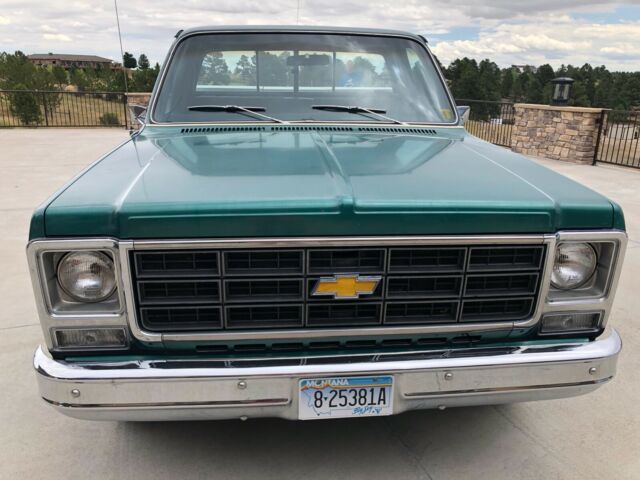 Chevrolet Silverado 1500 1979 image number 20