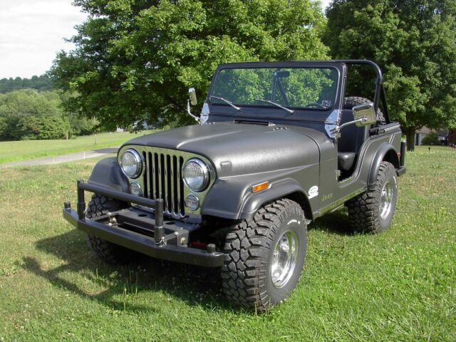 Jeep CJ 1972 image number 3