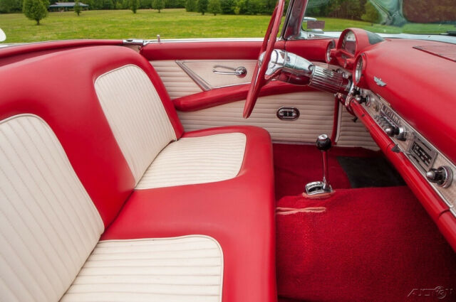 Ford Thunderbird 1955 image number 16