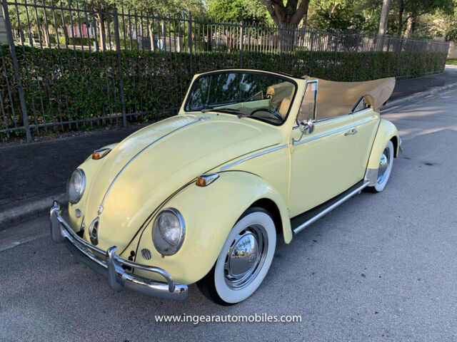 Volkswagen Beetle - Classic 1966 image number 0