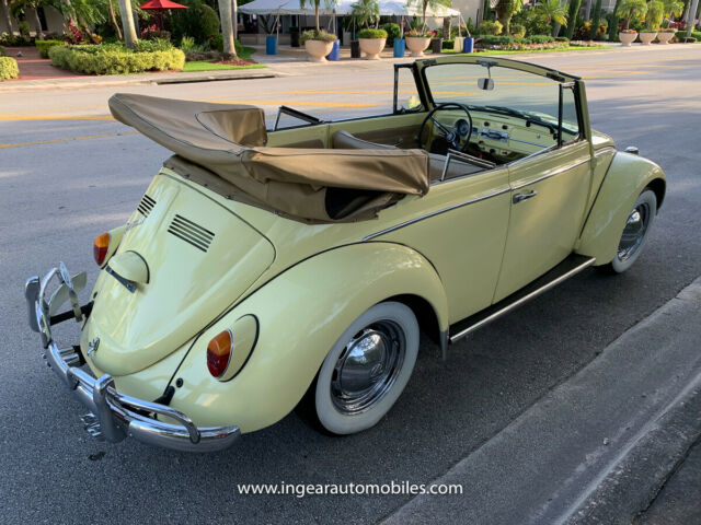 Volkswagen Beetle - Classic 1966 image number 2
