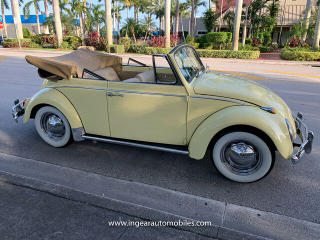 Volkswagen Beetle - Classic 1966 image number 3