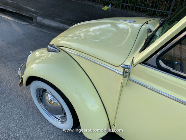 Volkswagen Beetle - Classic 1966 image number 8