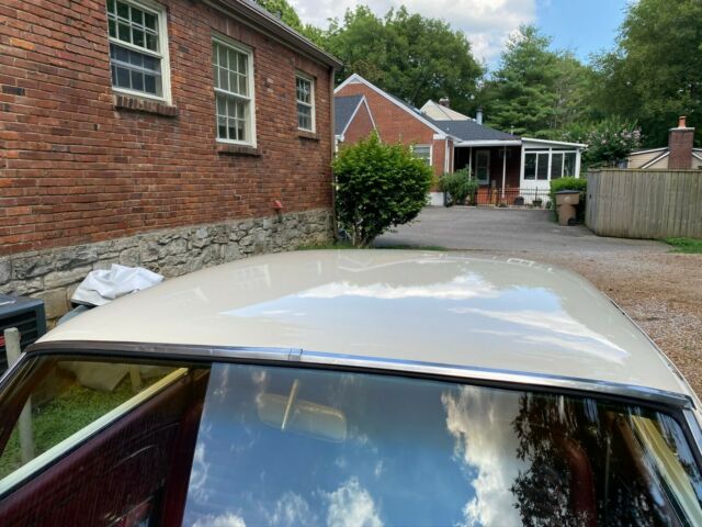Ford Mustang 1966 image number 16