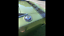 Dodge Charger 1970 image number 6