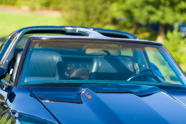 Chevrolet Corvette 1979 image number 16