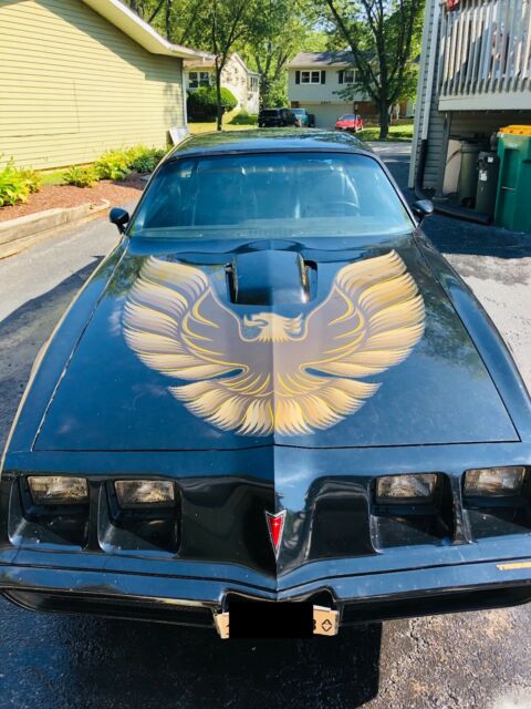 Pontiac Trans Am 1979 image number 14