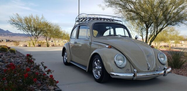 Volkswagen Beetle (Pre-1980) 1966 image number 9