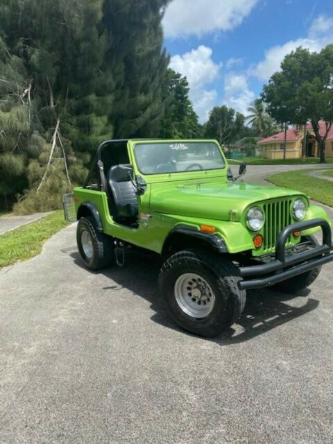 Jeep CJ 1977 image number 2