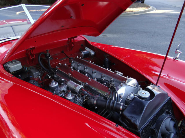 Jaguar XK 1955 image number 39