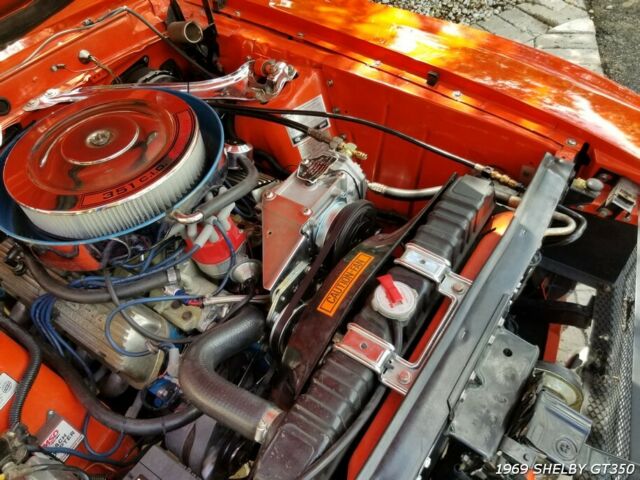 Shelby Cobra 1969 image number 20