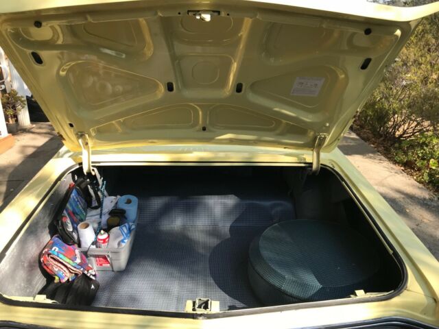 Buick Skylark 1965 image number 35