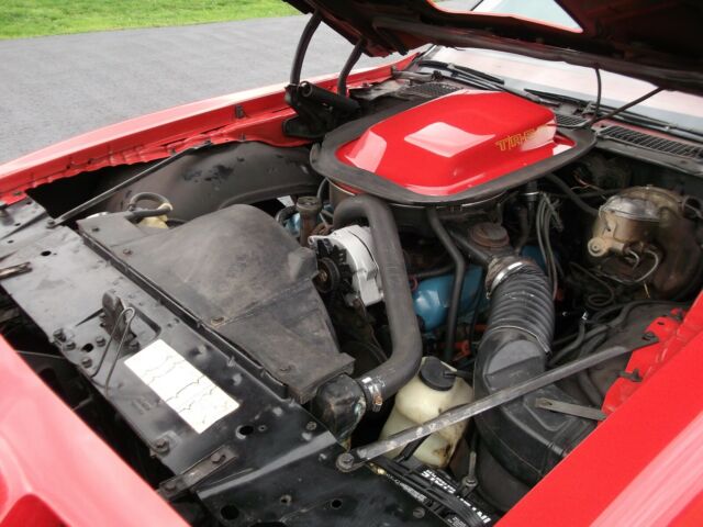 Pontiac Trans Am 1979 image number 16