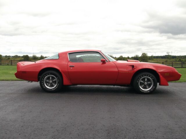 Pontiac Trans Am 1979 image number 20