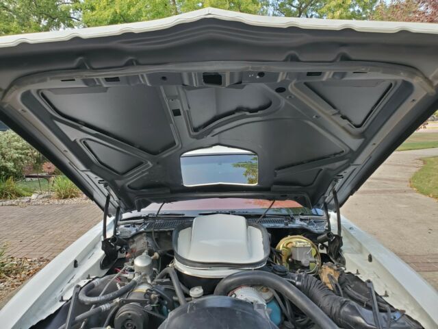 Pontiac Trans Am 1979 image number 23