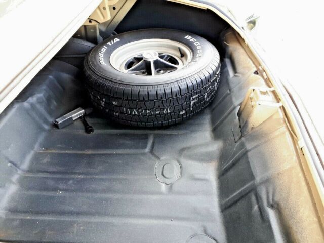 Buick Skylark 1970 image number 8