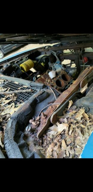 Pontiac Trans Am 1975 image number 7