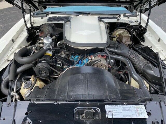 Pontiac Firebird 1979 image number 21