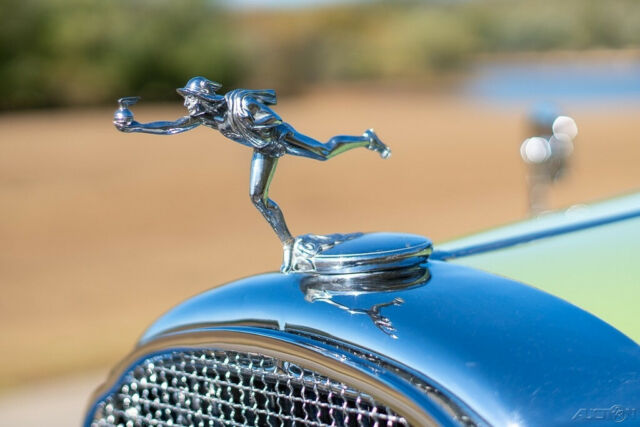 Buick Victoria 1931 image number 3
